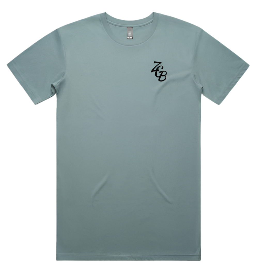 Country Got It Right T-SHIRT